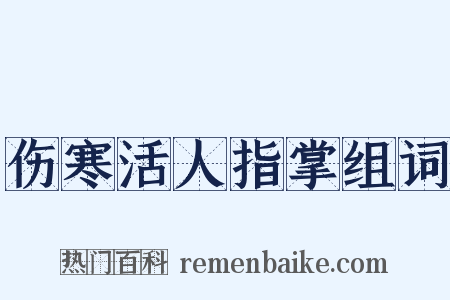 伤寒活人指掌组词是什么意思的图片